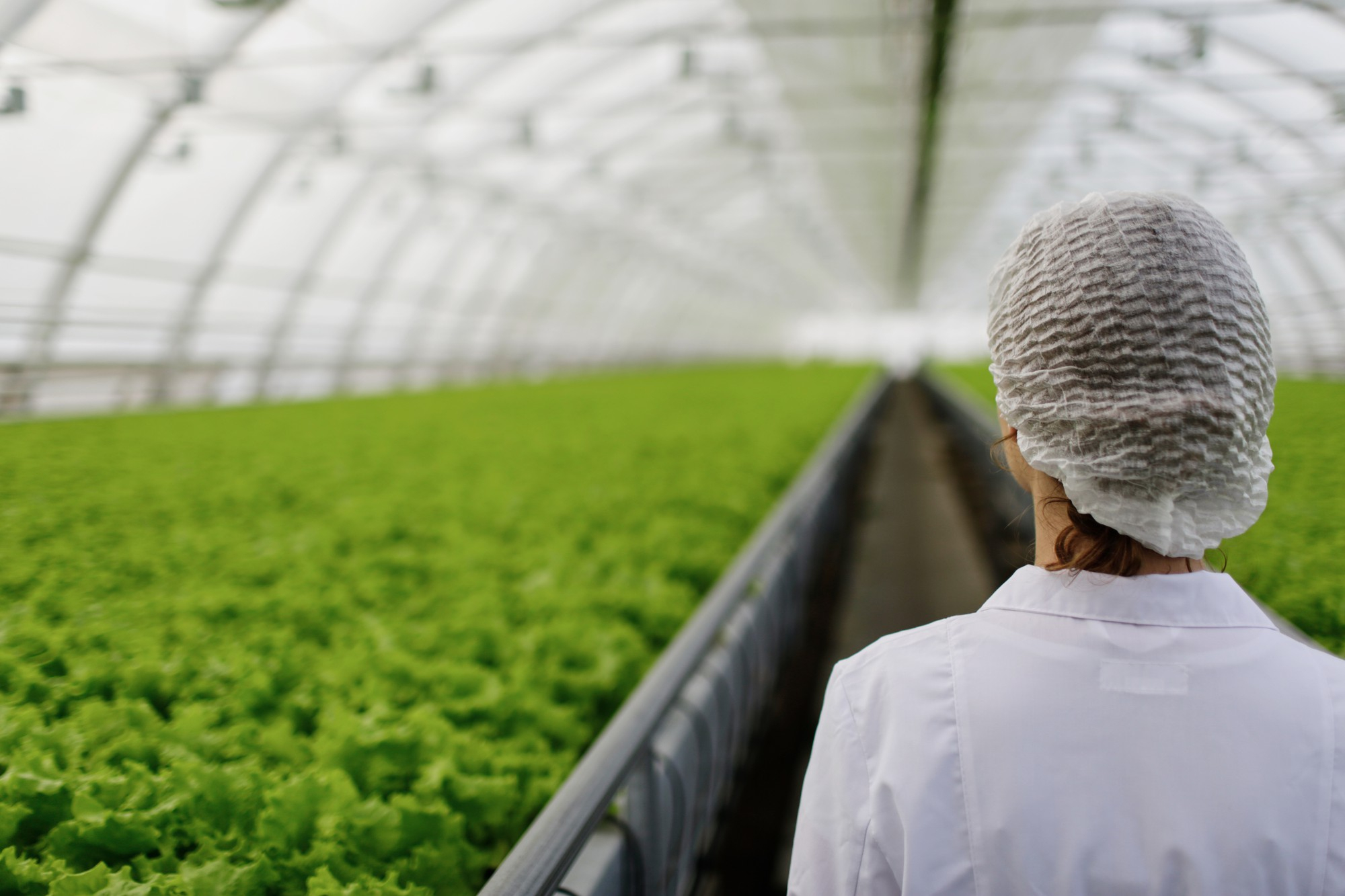 Métiers de l'agroalimentaire